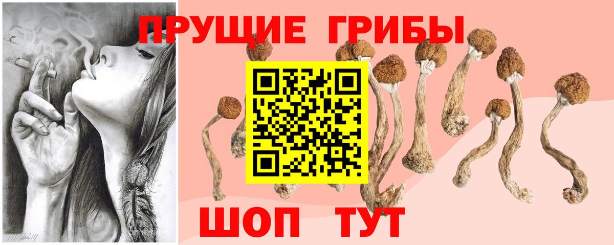 Псилоцибиновые грибы Magic Shrooms  Вход с VPN  Малгобек 