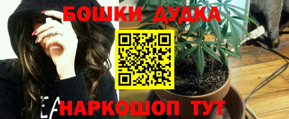 Малгобек  Марихуана сатива  Канабис конопля  Бошки Шишки LSD WEED  Вход с VPN 